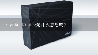 Cydia flashing是什么意思吗？