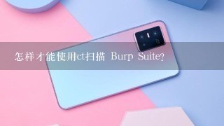 怎样才能使用ct扫描 Burp Suite?